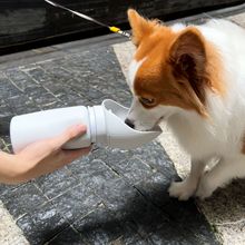 Silicon  Bottle